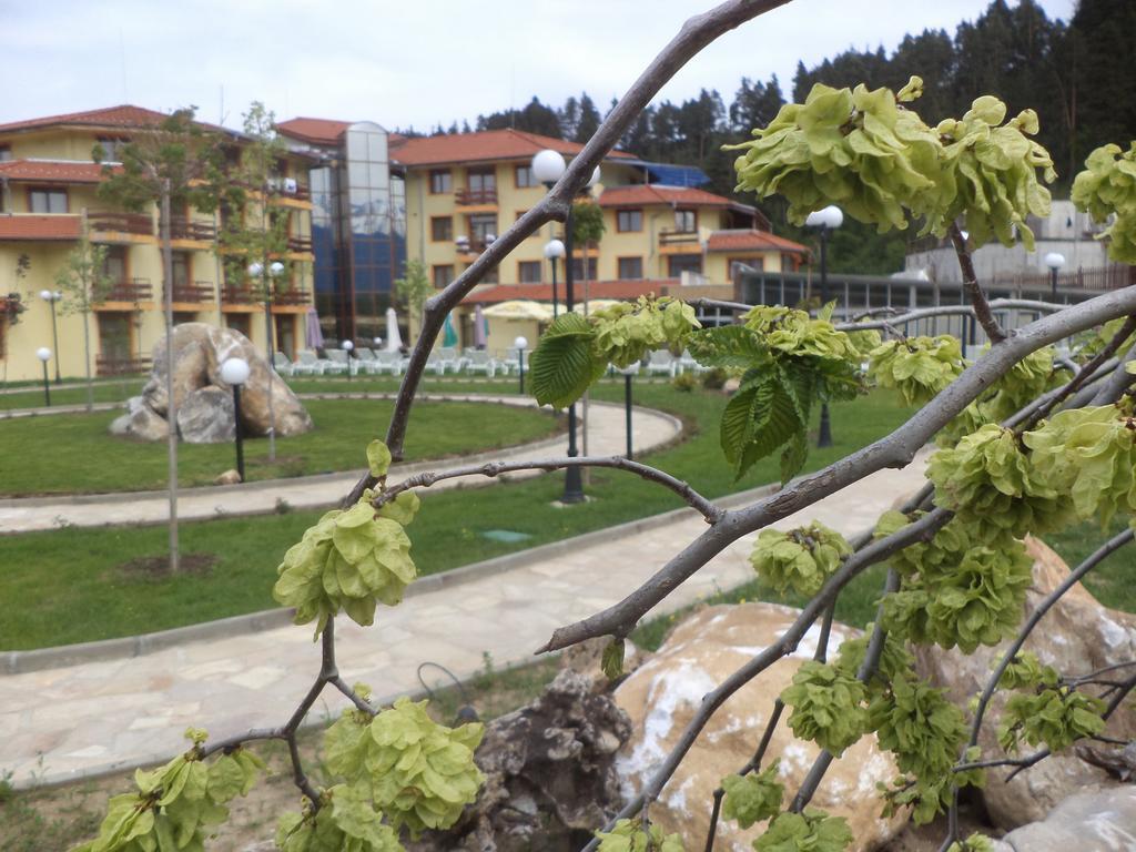 Thermal Spa Hotel Roman Bath Banea Exterior foto